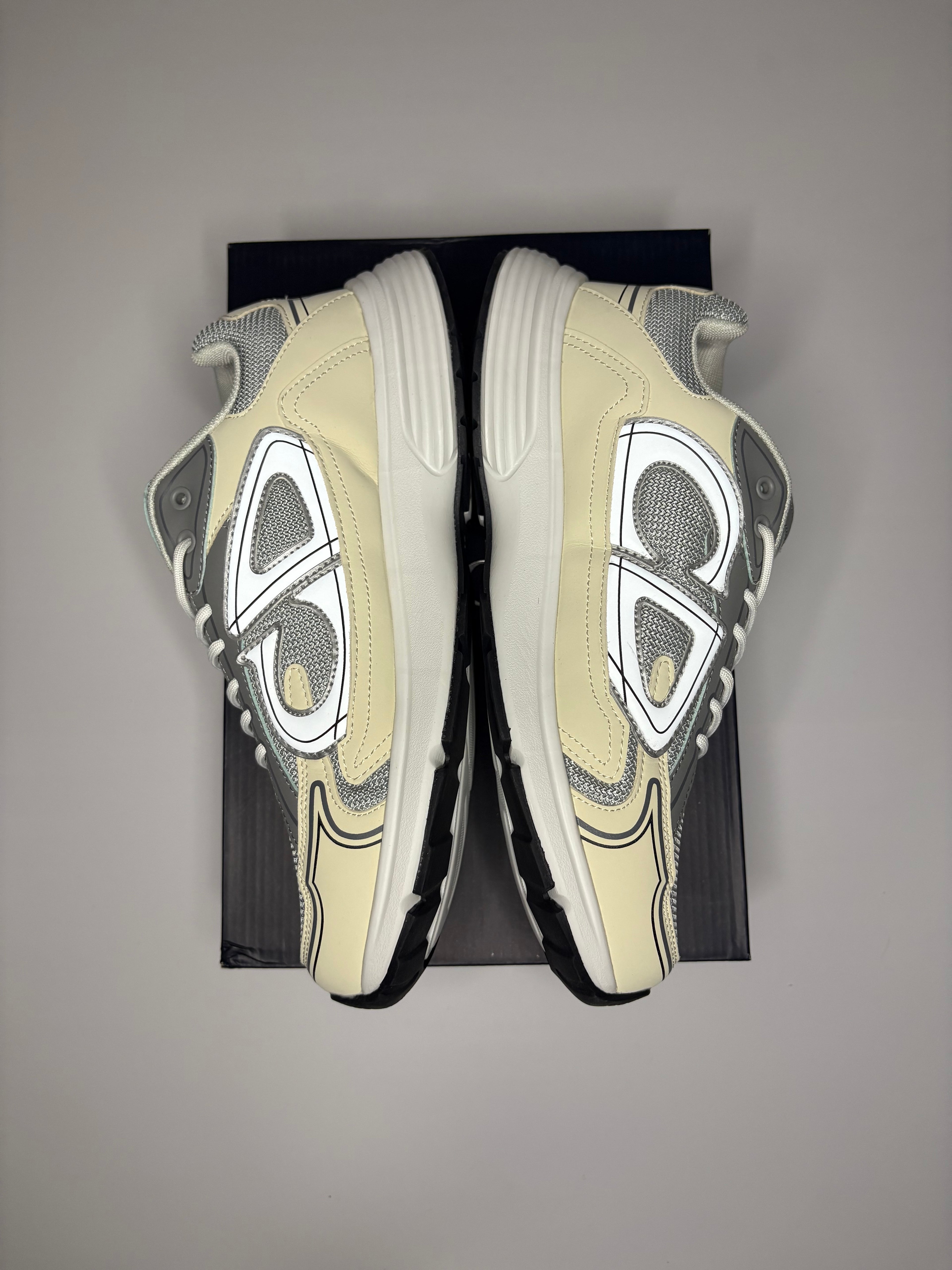Dior B30 (Grey)