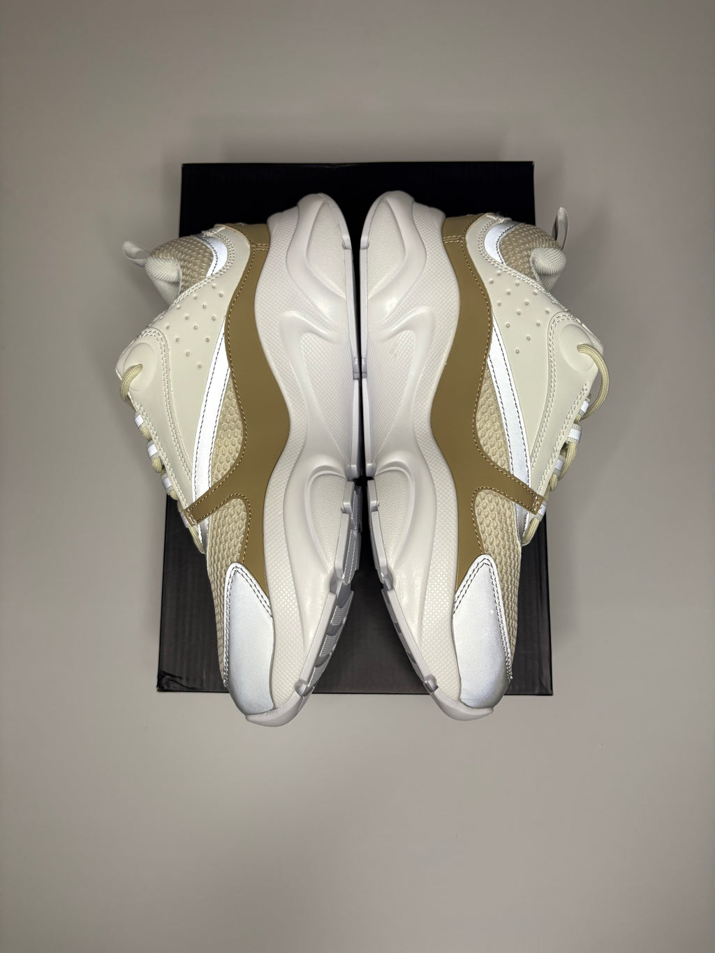 Dior B22 (White/Tan)
