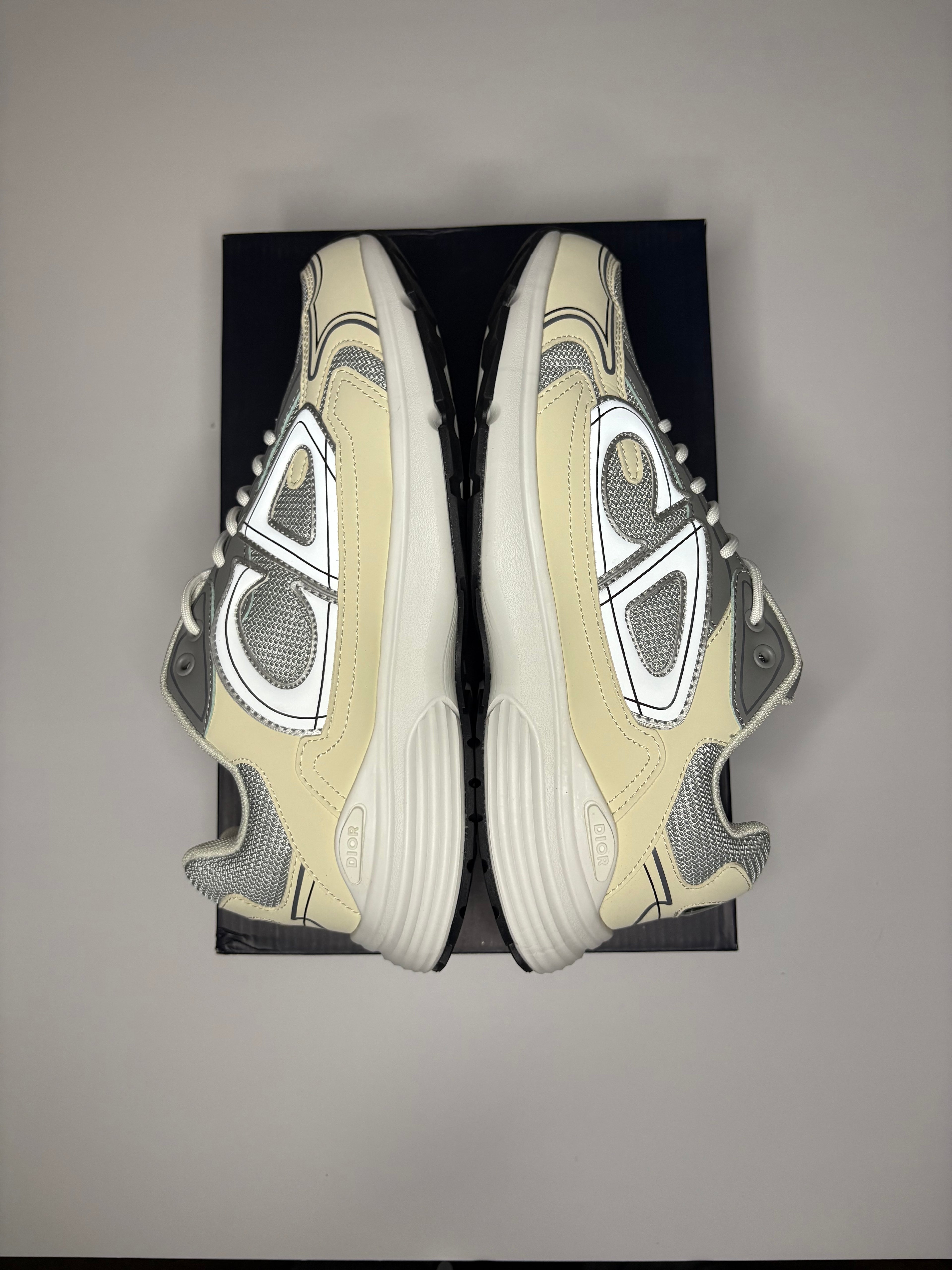 Dior B30 (Grey)