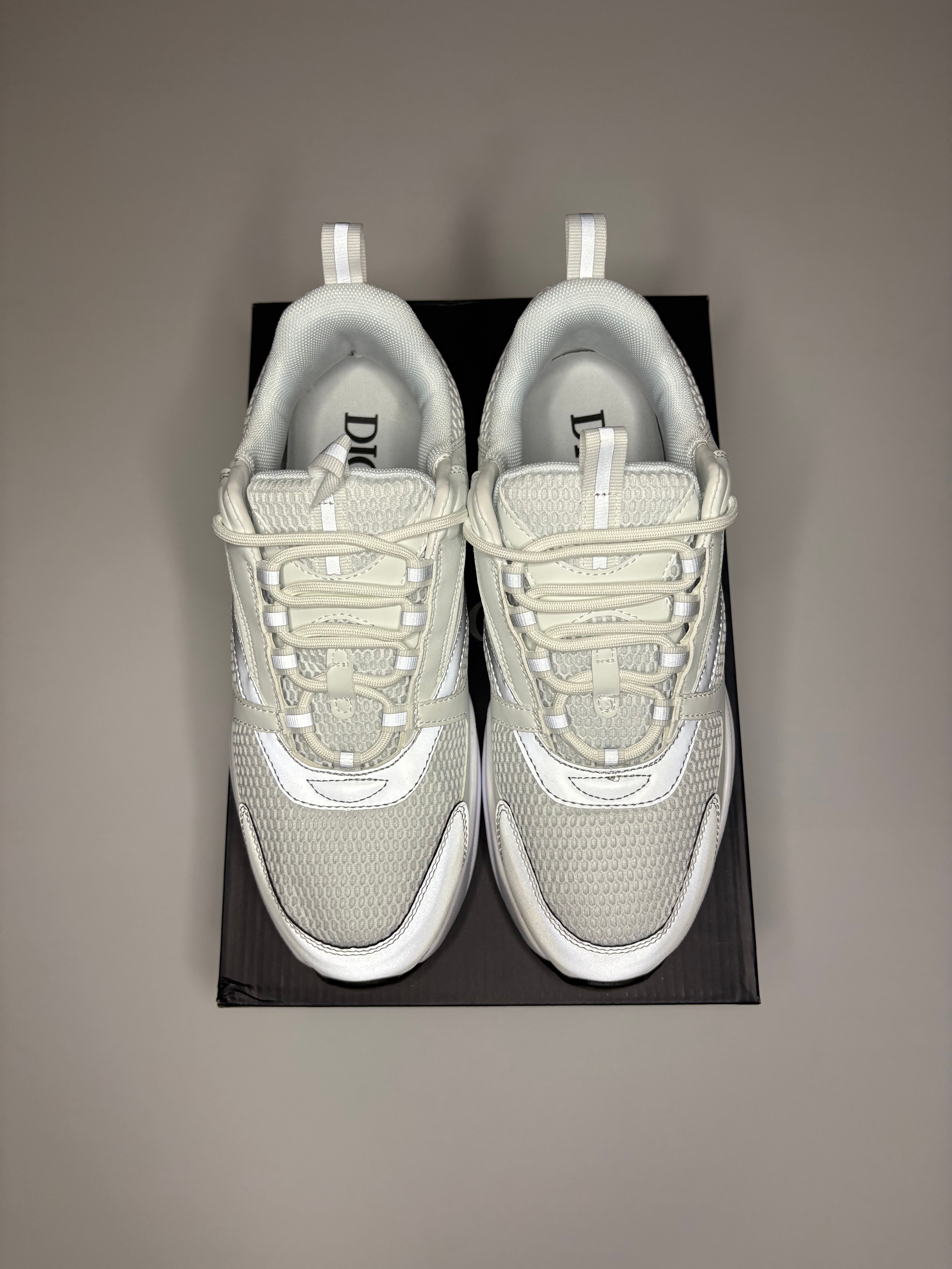 Dior B22 (White/Grey)