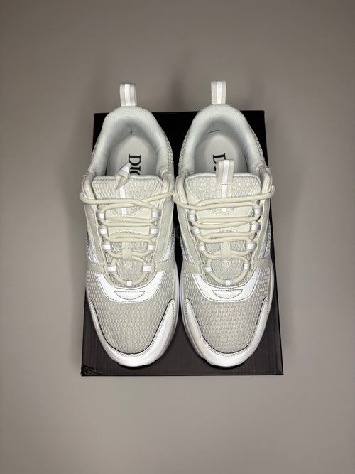 Dior B22 (White/Grey)