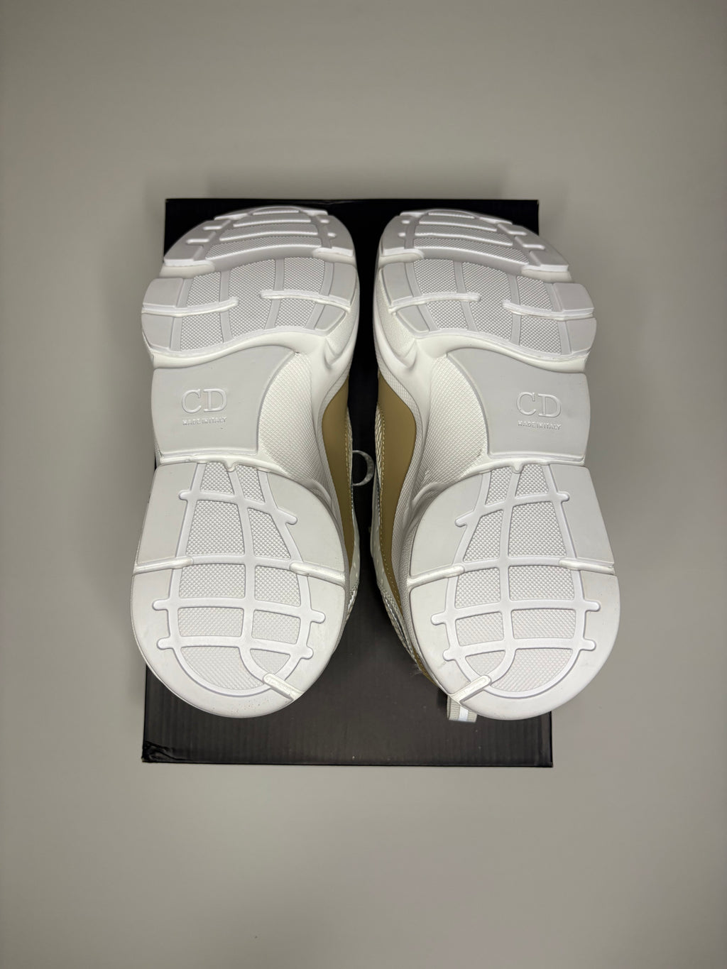 Dior B22 (White/Tan)
