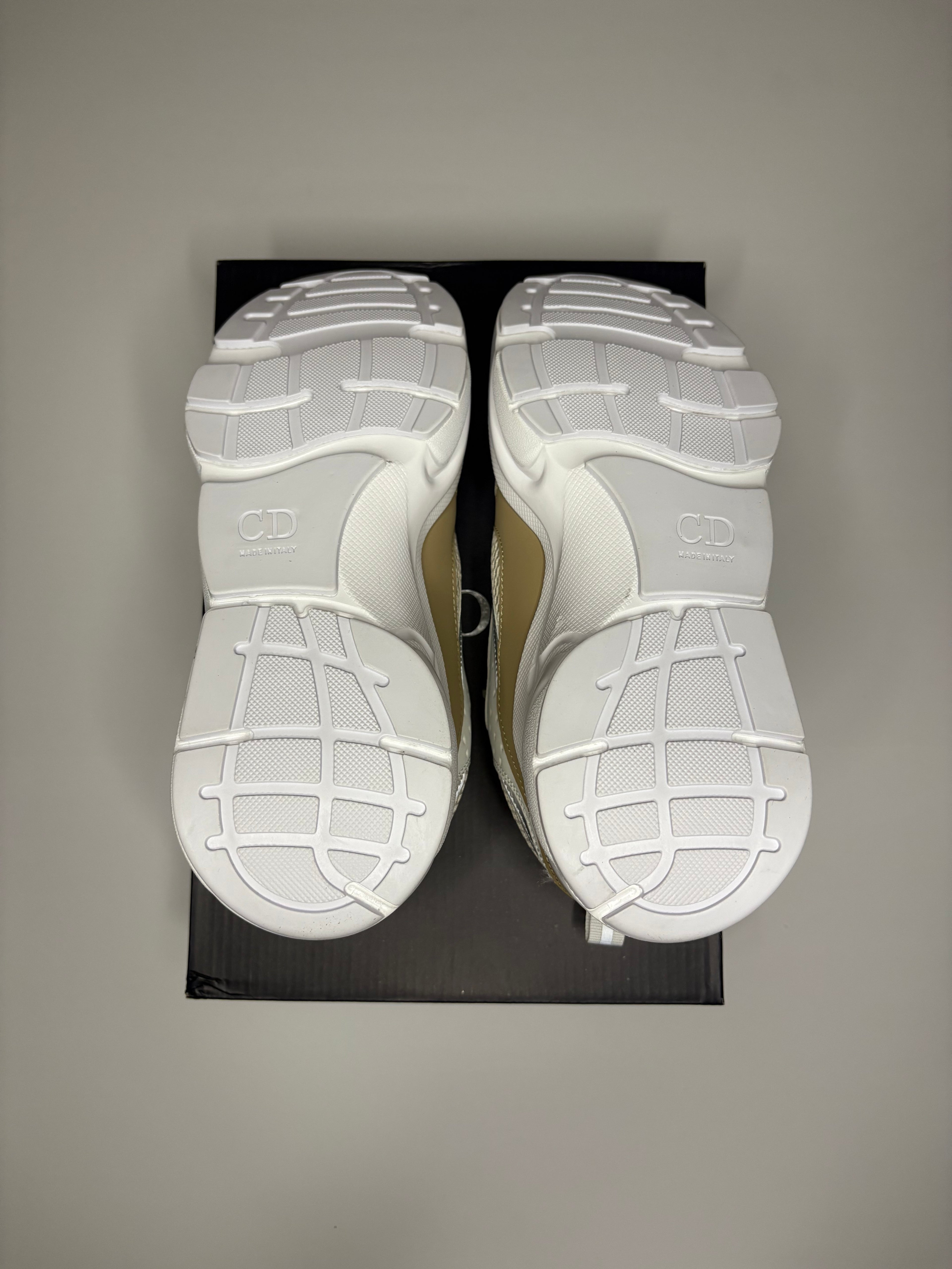 Dior B22 (White/Tan)