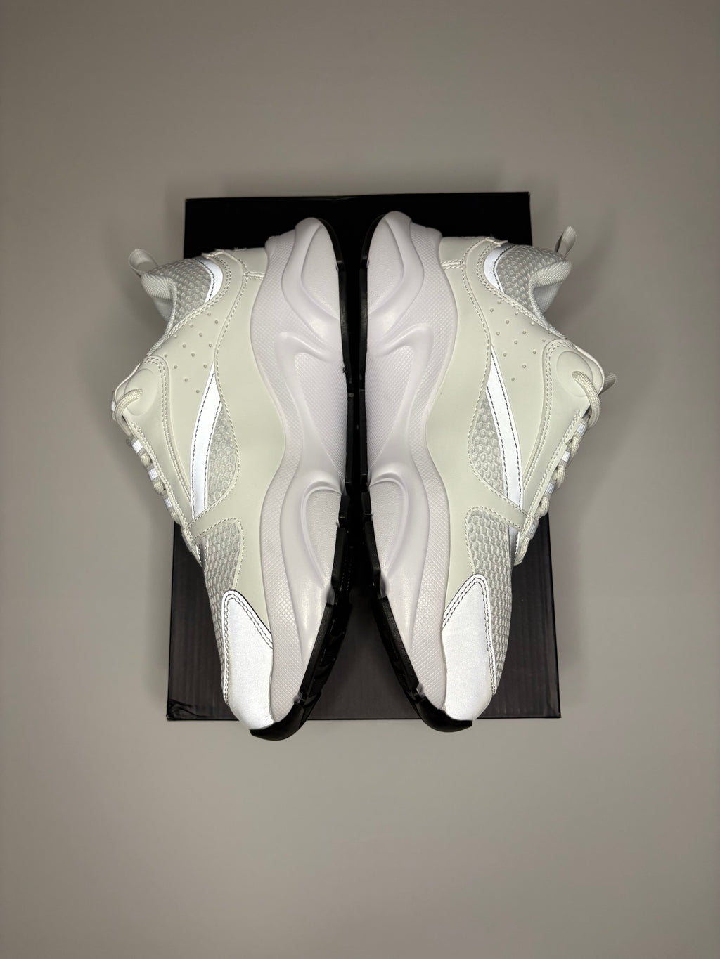 Dior B22 (White/Grey)