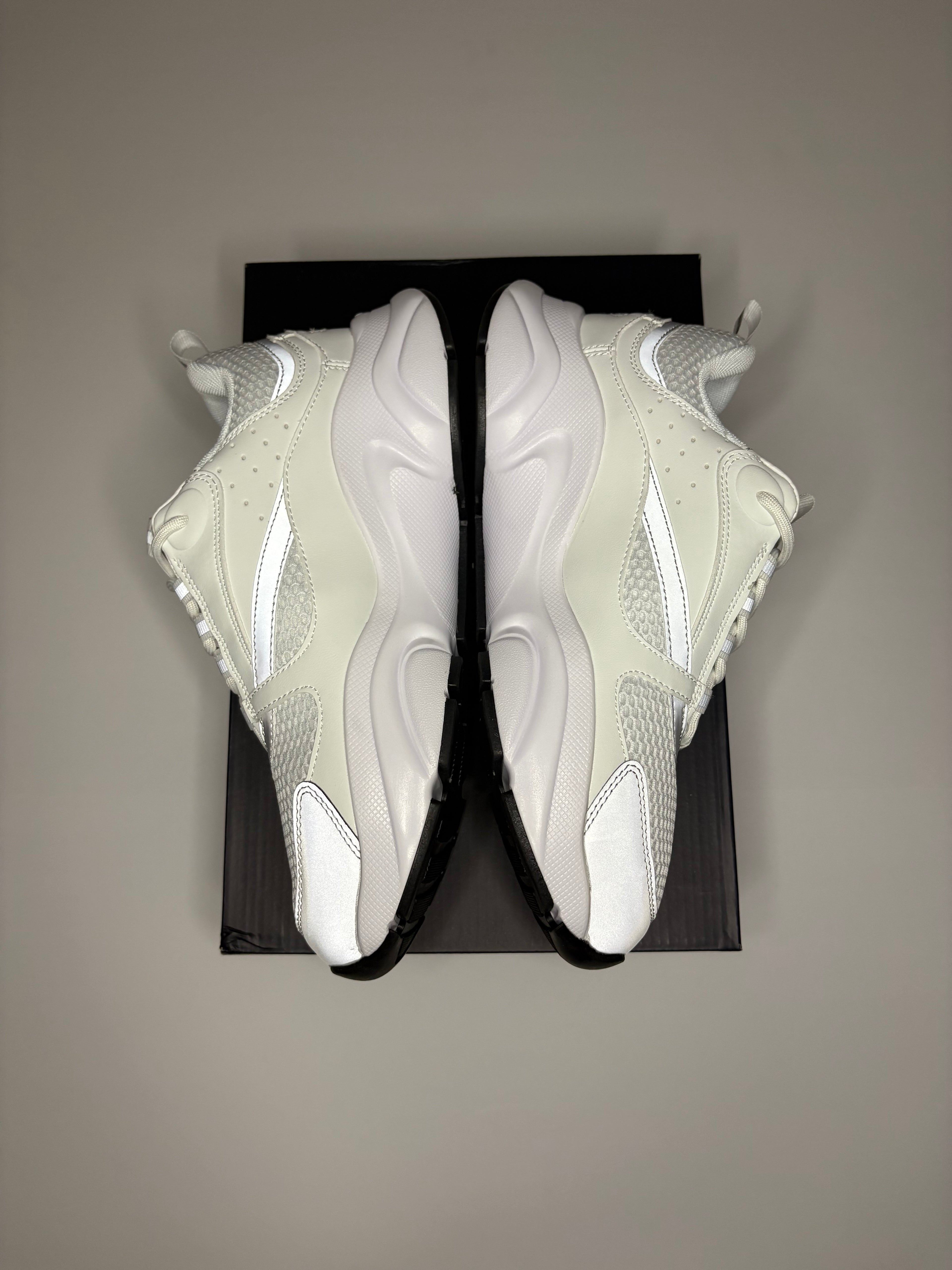 Dior B22 (White/Grey)