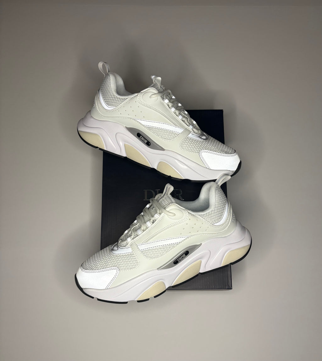 Dior B22 (White/Grey)