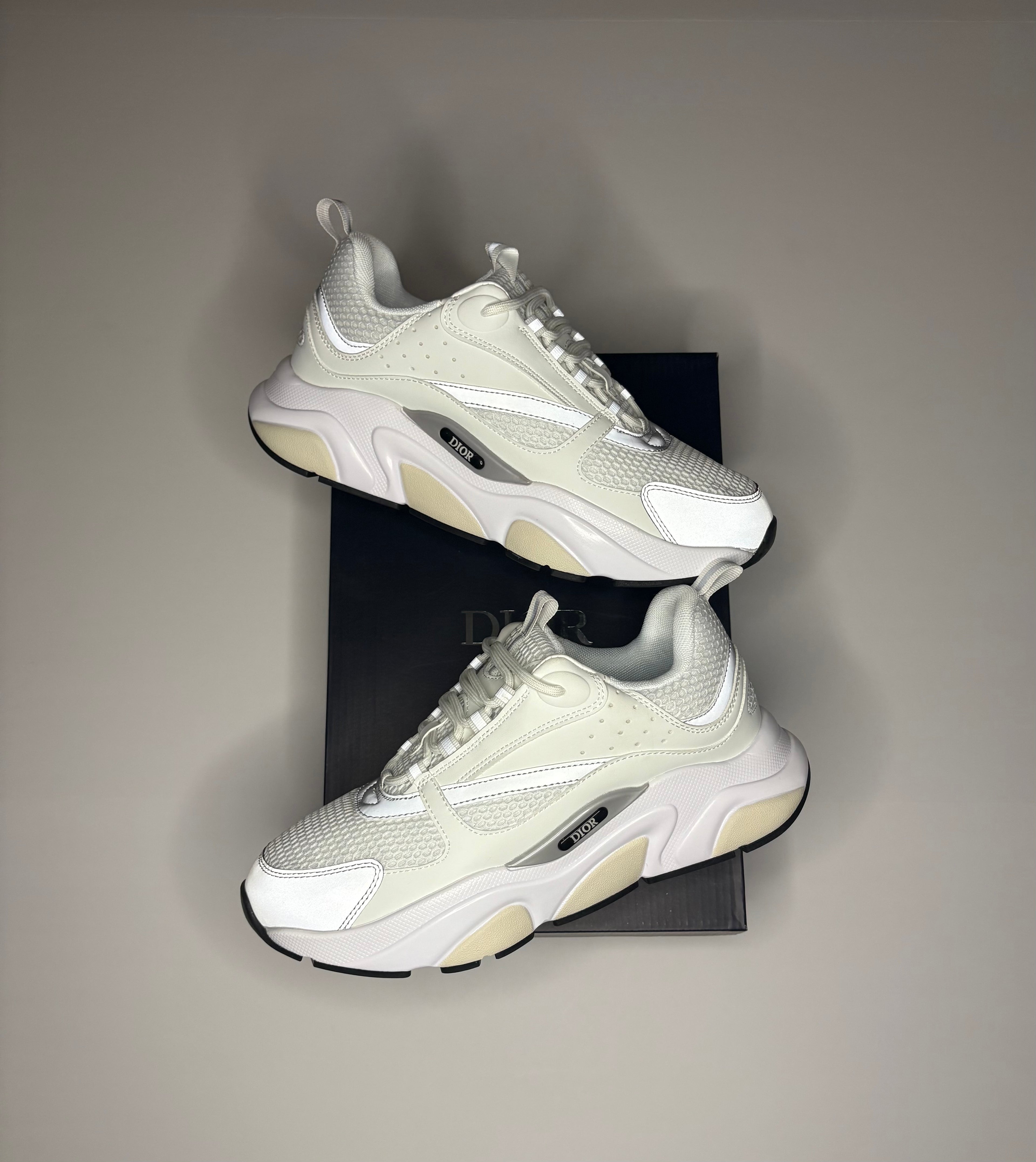 Dior B22 (White/Grey)