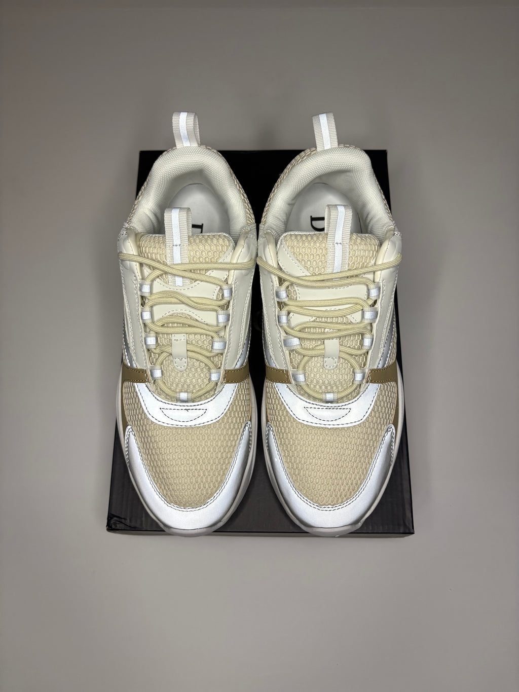 Dior B22 (White/Tan)