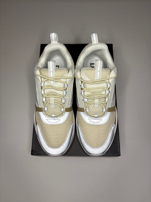 Dior B22 (White/Tan)