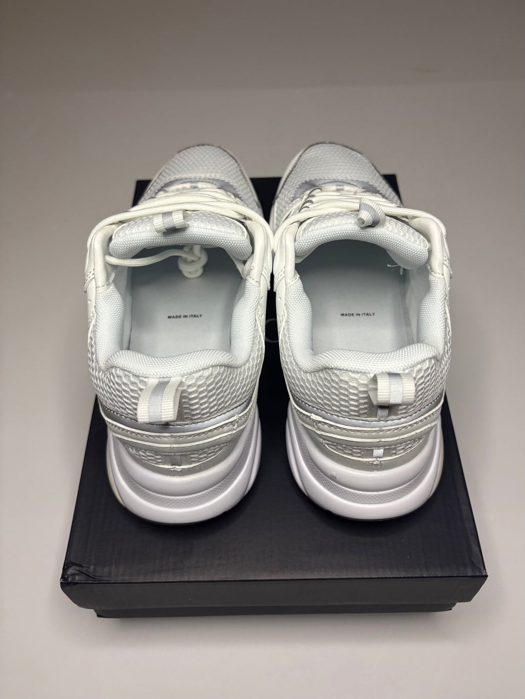 Dior B22 (White/Grey)