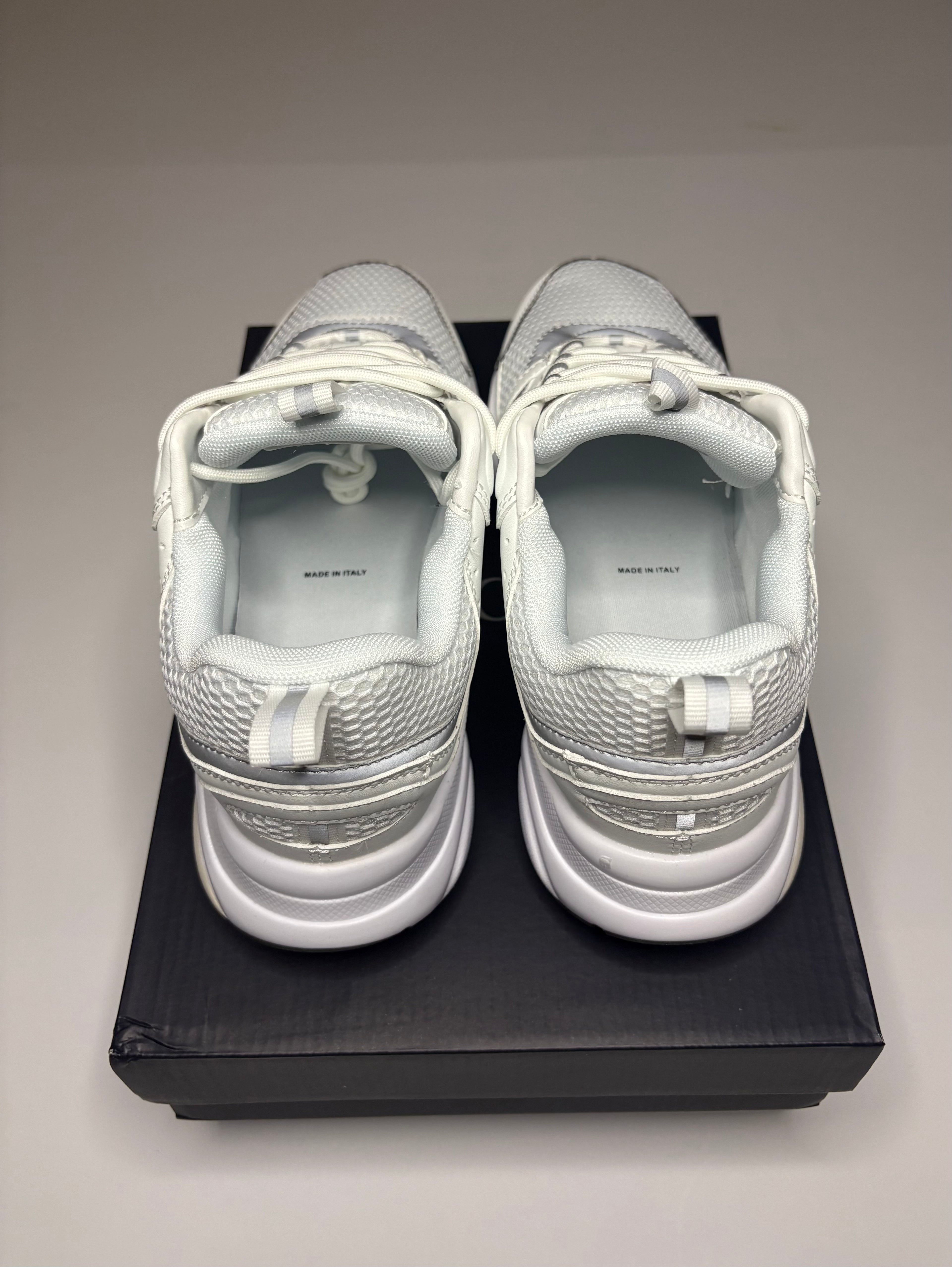 Dior B22 (White/Grey)