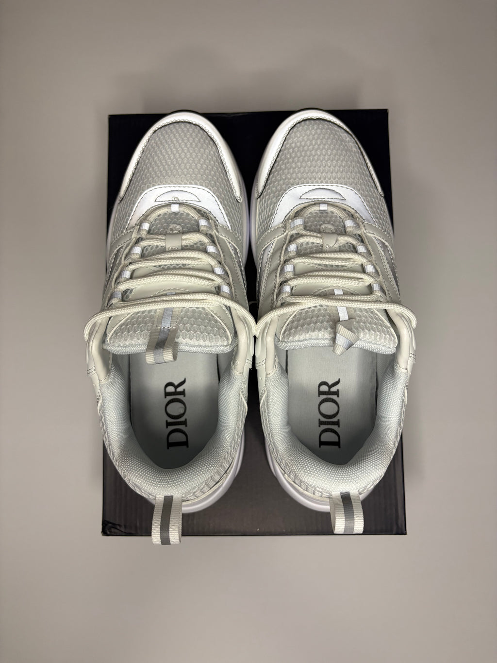 Dior B22 (White/Grey)