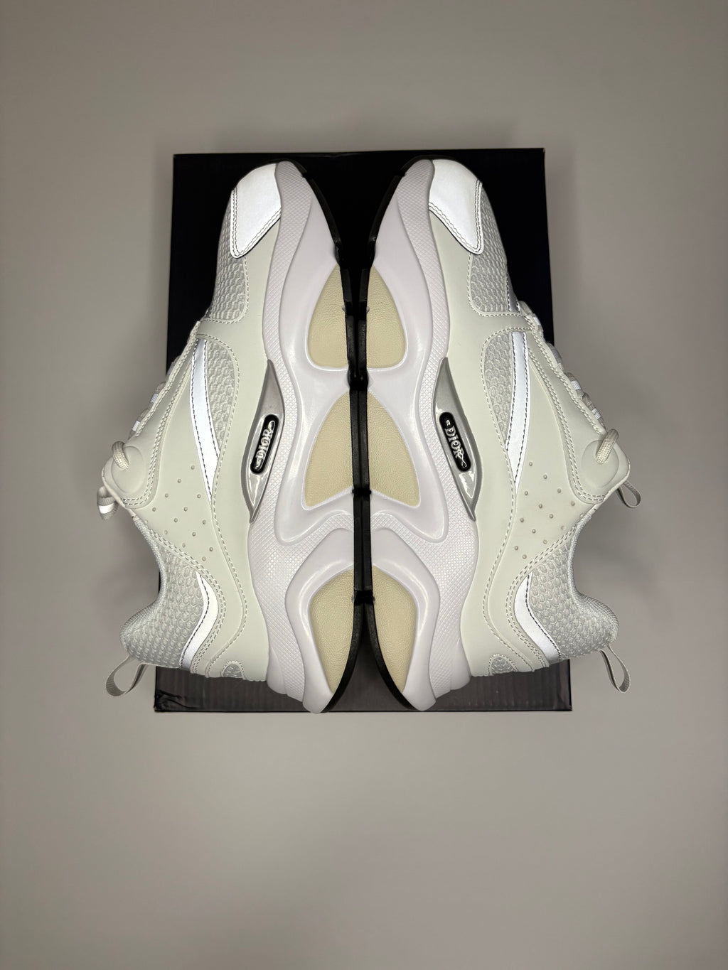 Dior B22 (White/Grey)