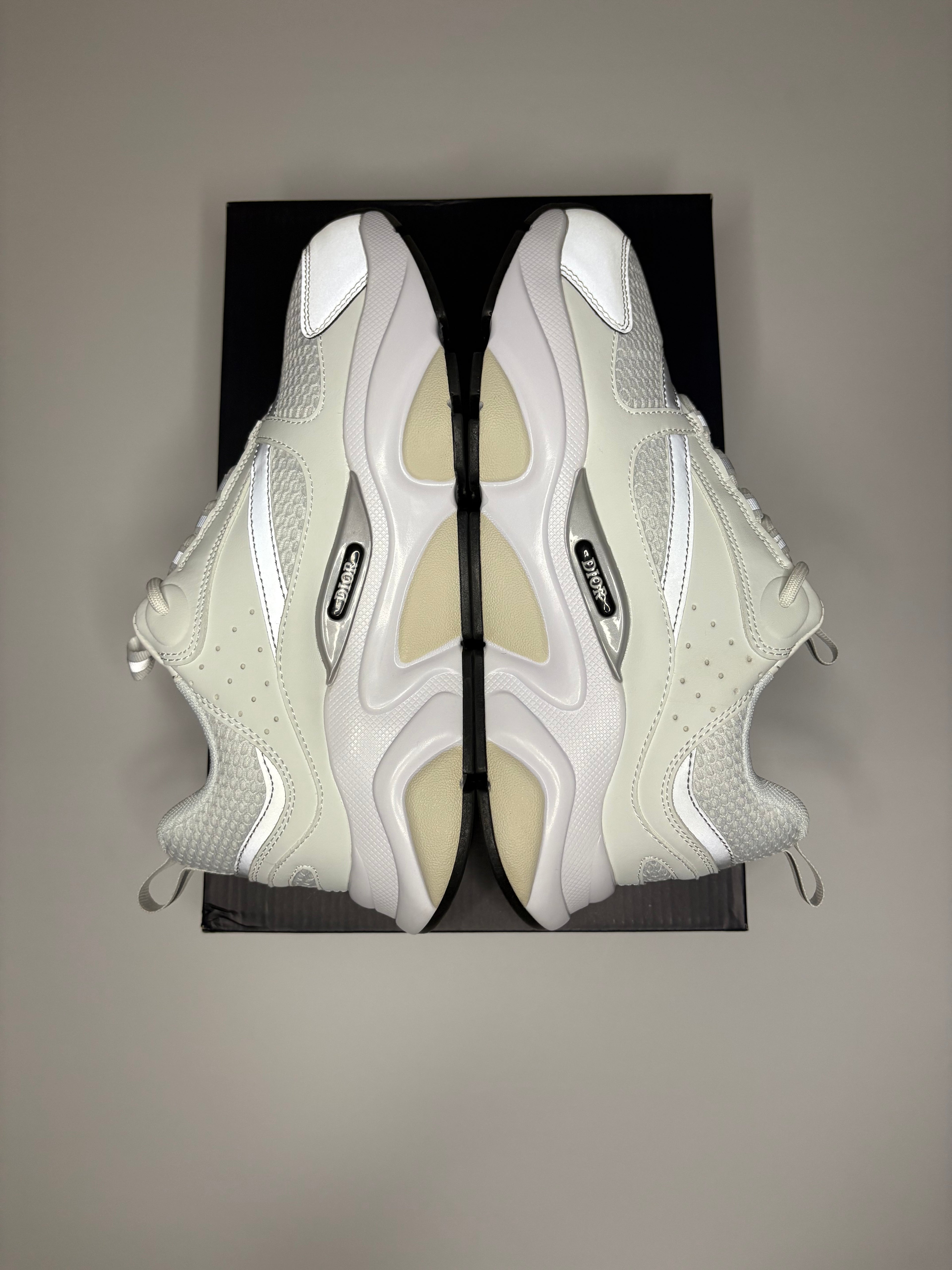 Dior B22 (White/Grey)